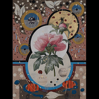 MOUTAN PEONY